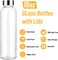 18oz Glass Water Bottle Set of 6, Clear glass juice bottle for juicing (Clear-6set/18oz)